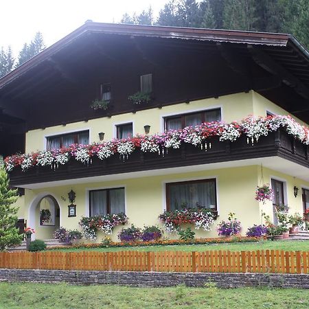 Schwarzenbacher Lungötz المظهر الخارجي الصورة