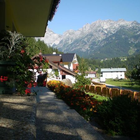 Schwarzenbacher Lungötz المظهر الخارجي الصورة