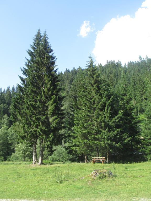 Schwarzenbacher Lungötz الغرفة الصورة