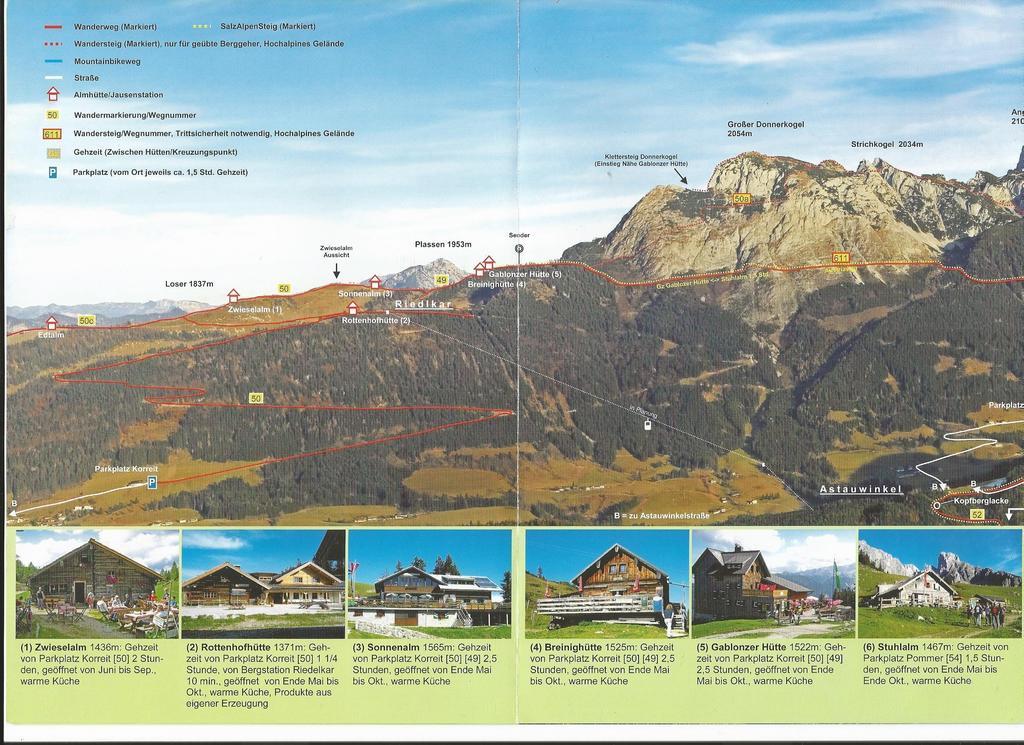 Schwarzenbacher Lungötz المظهر الخارجي الصورة