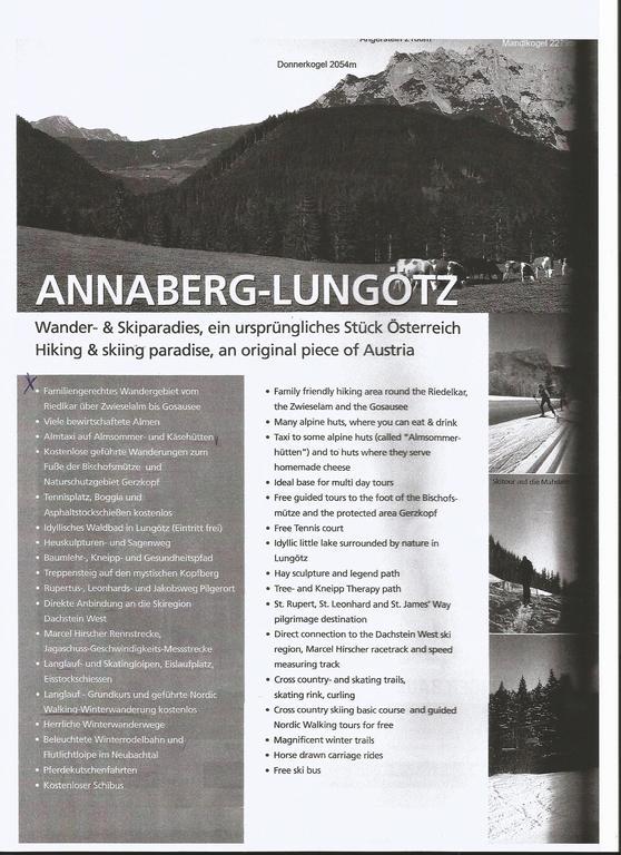 Schwarzenbacher Lungötz المظهر الخارجي الصورة