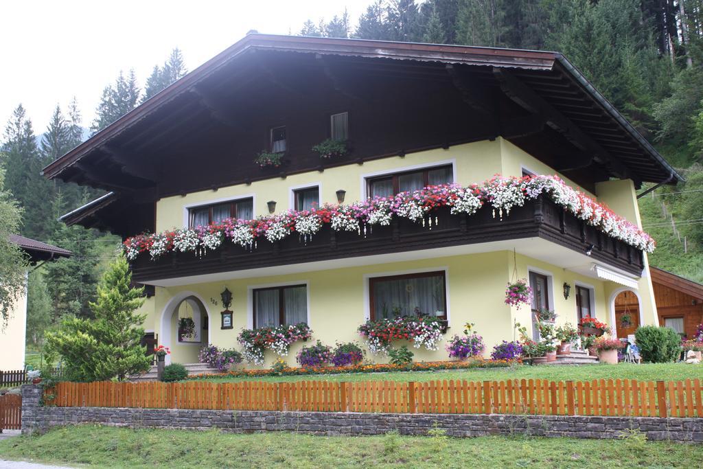 Schwarzenbacher Lungötz المظهر الخارجي الصورة