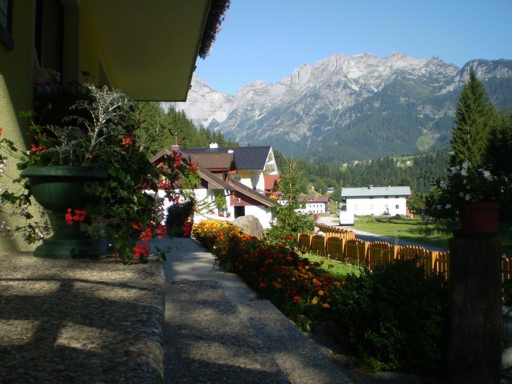 Schwarzenbacher Lungötz المظهر الخارجي الصورة